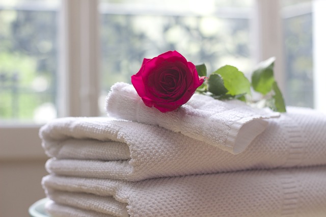 バスタオルは毎日洗う派はどのくらいの割合や率でいる？